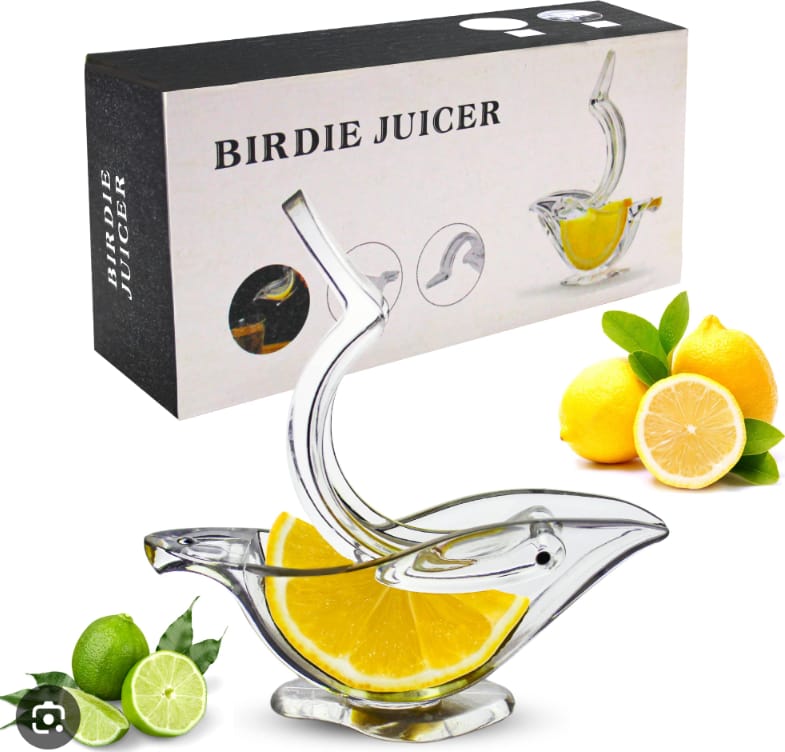 WhatsApp Image 2025-12-05 at 4.31.28 PM