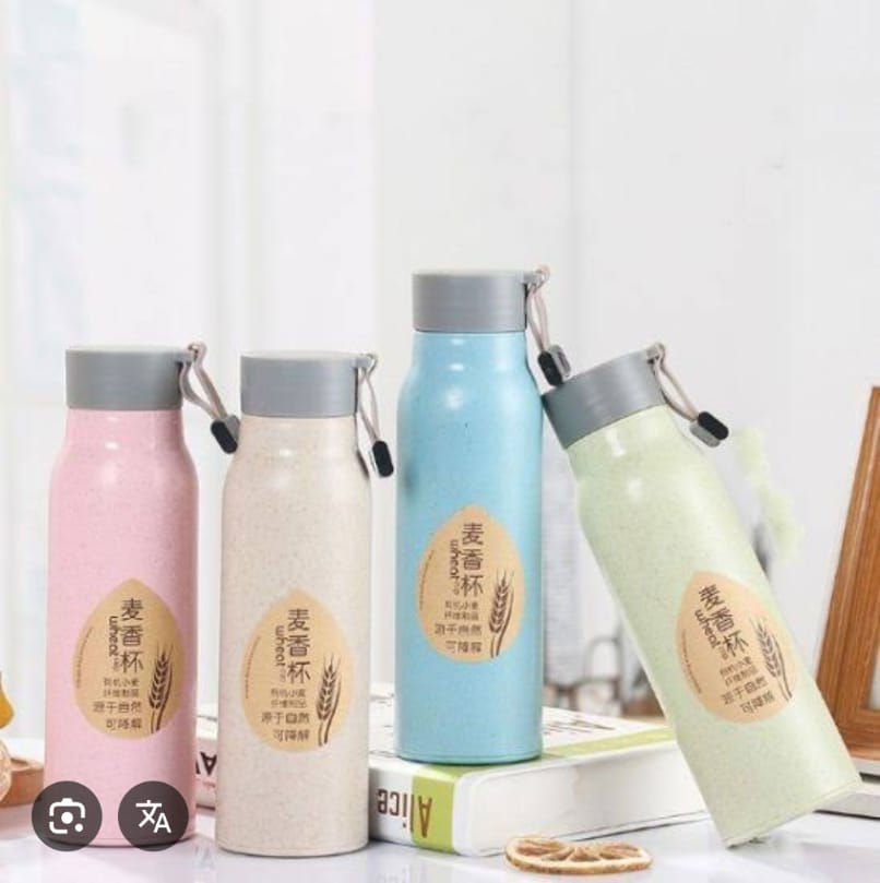 WhatsApp Image 2025-12-06 at 2.02.16 PM